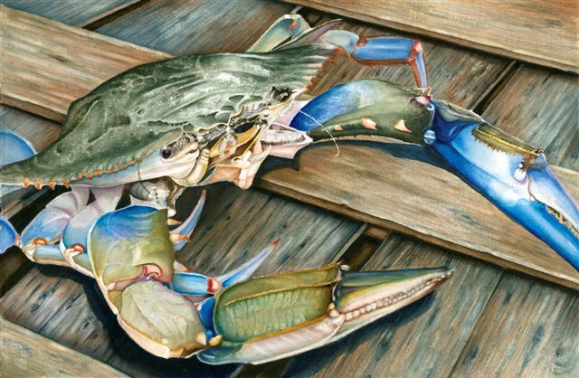 640x418 Mary Ellen Mclaughlin Watercolor Watercolor - Blue Crab Painting