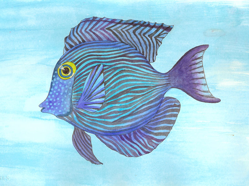 800x598 Tropical Fish Paintings - Blue Fish Painting