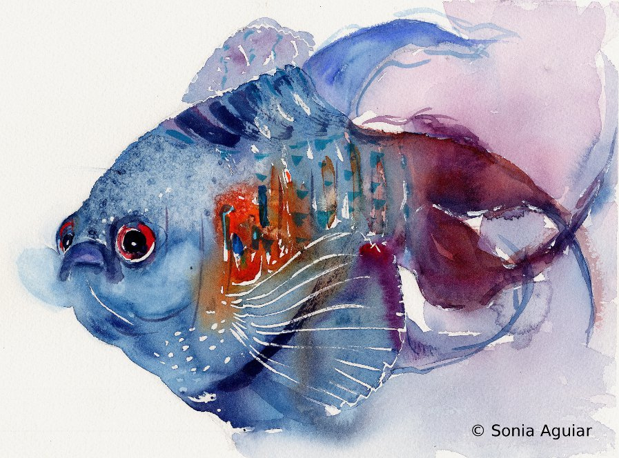 897x664 Animal Art Watercolor - Blue Fish Painting