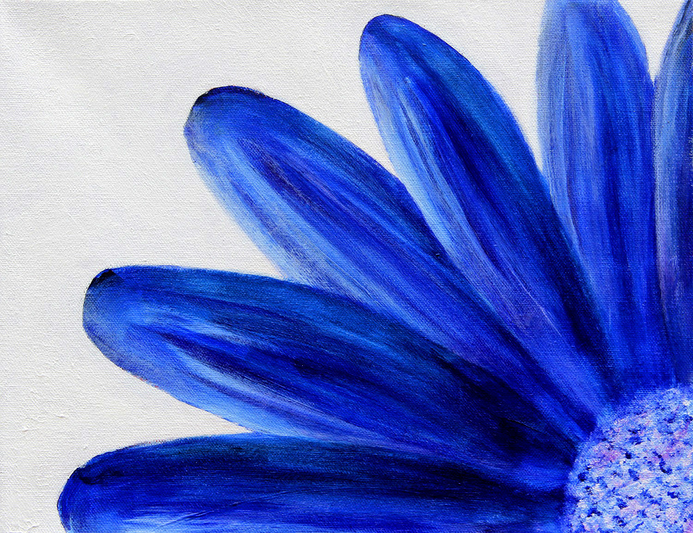 1000x769 Blue Daisy 11x14 - Blue Floral Painting