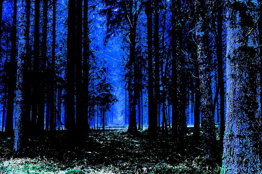 900x600 Deep Blue Forest 2 Painting By Celestial Images - Blue Forest Painting