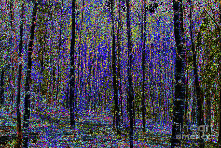 900x602 Blue Forest Painting By David Lee Thompson - Blue Forest Painting