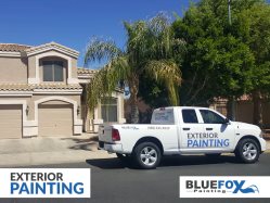 249x187 Blue Fox Painting In Mesa, Arizona - Blue Fox Painting