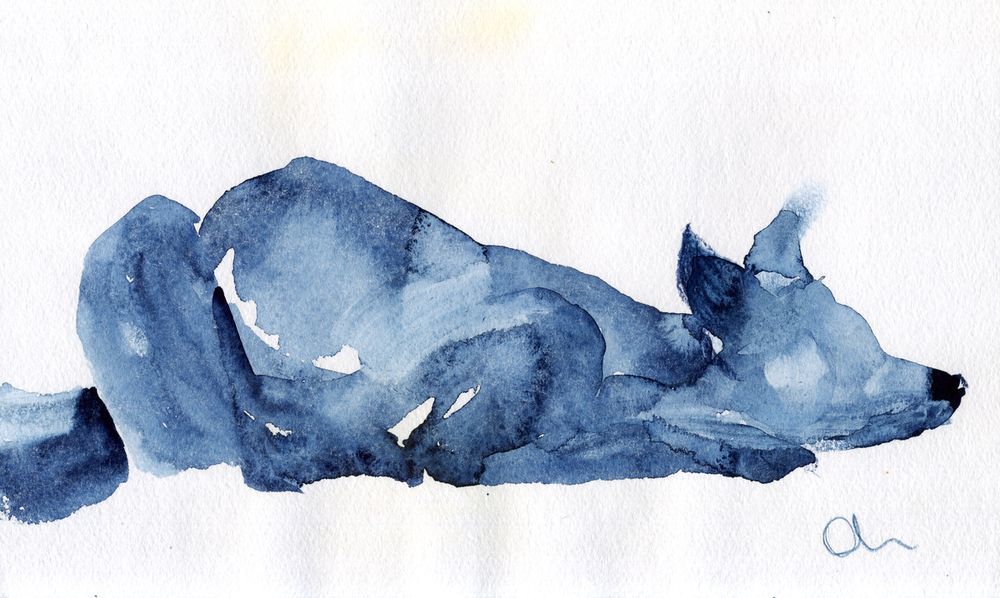 1000x598 Blue Fox (Lelia Sorokina) - Blue Fox Painting