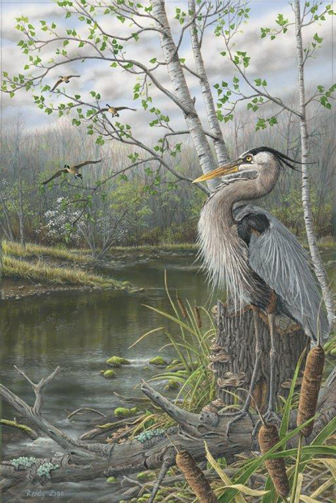 668x1000 Mercer County Artist Finds Local Inspiration In Great Blue Heron - Blue Heron Painting