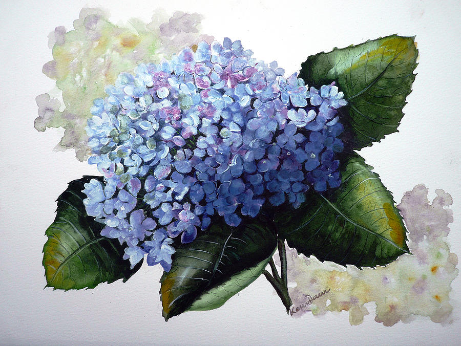 900x676 Blue Hydrangea Painting By Karin Dawn Kelshall Best - Blue Hydrangea Painting