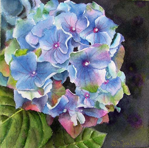 510x507 Blue Hydrangea - Blue Hydrangea Painting