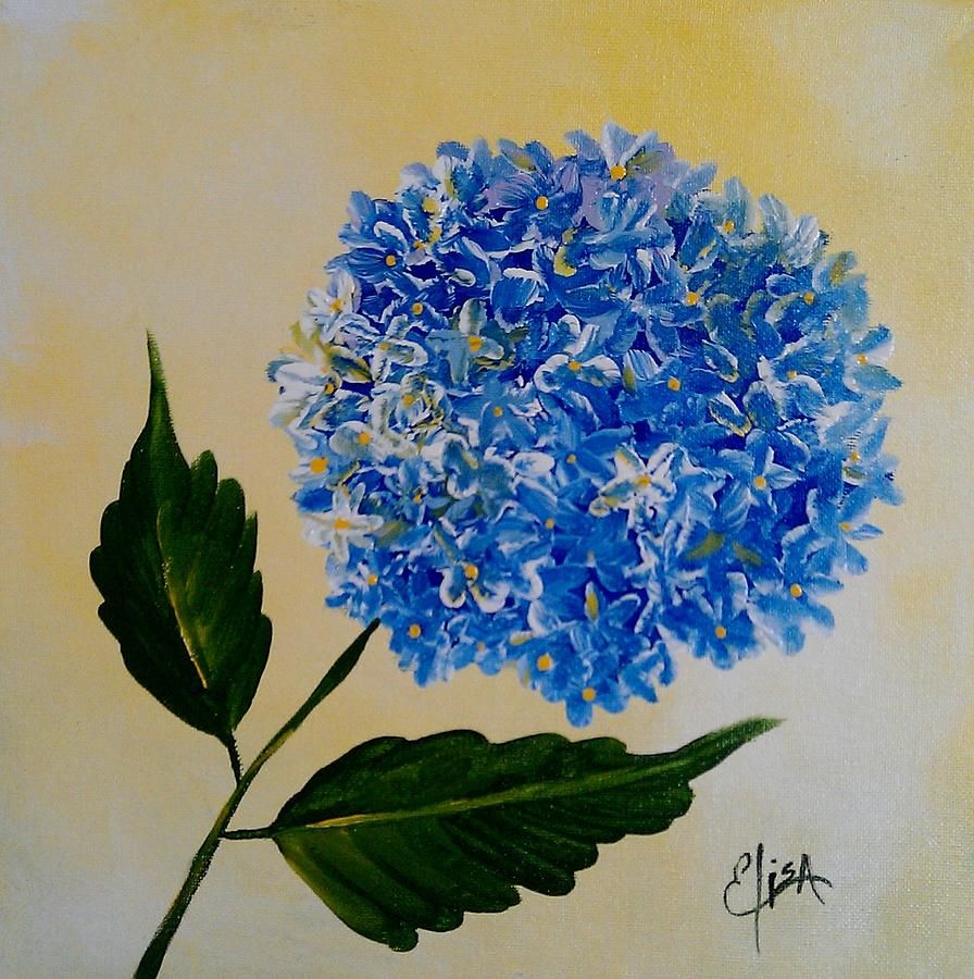 896x900 Blue Hydrangea Painting By Elisa Gabrielli - Blue Hydrangea Painting