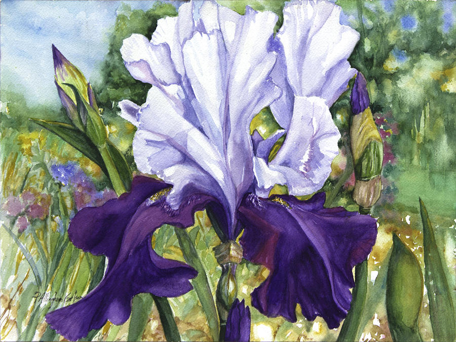 900x675 Blue Iris Painting By Patricia Allingham Carlson - Blue Iris Painting