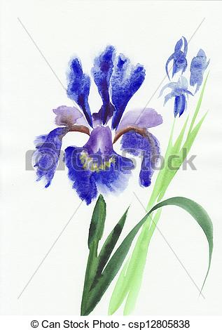 Blue Iris Painting at PaintingValley.com | Explore collection of Blue ...