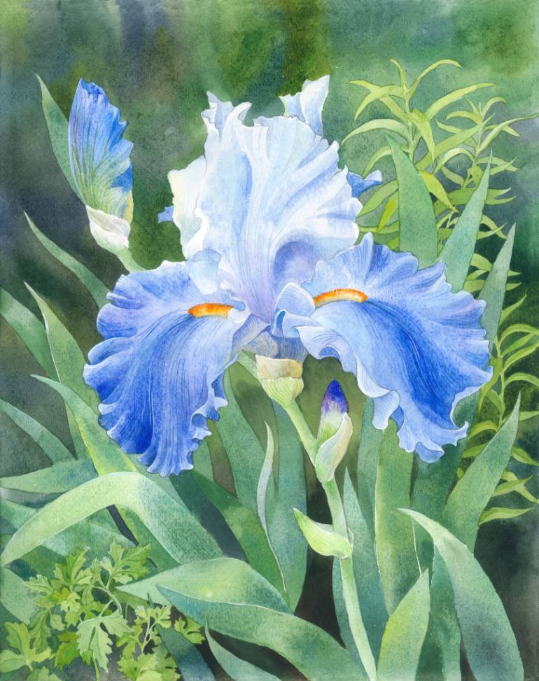 770x973 Saatchi Art Blue Iris - Blue Iris Painting