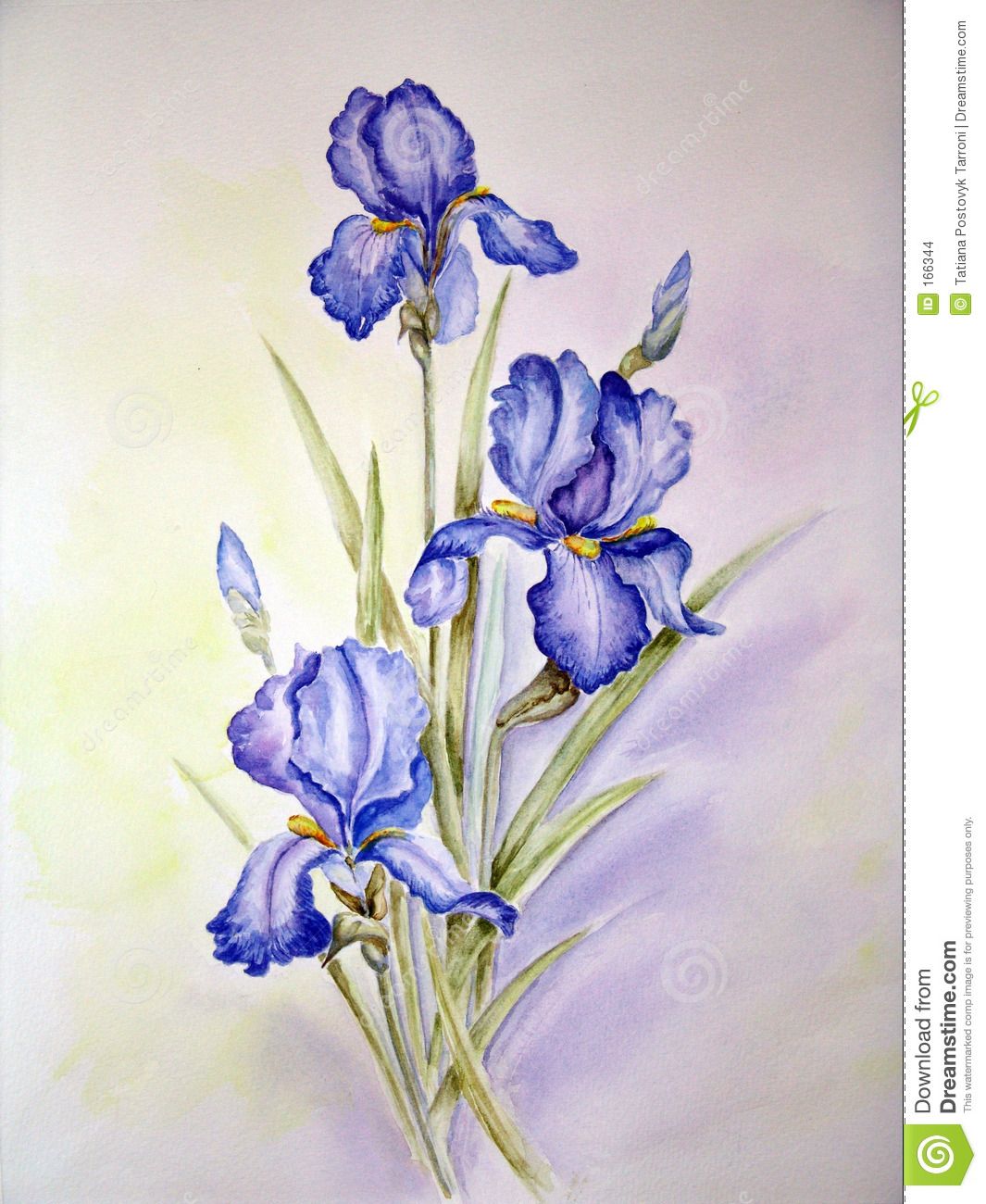 1065x1300 Blue Irises Painting 166344.jpg Blue Iris - Blue Iris Painting