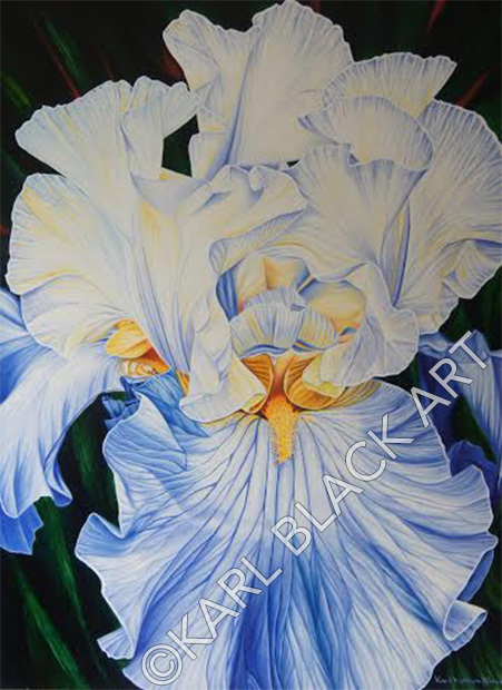 451x620 Blue Iris - Blue Iris Painting