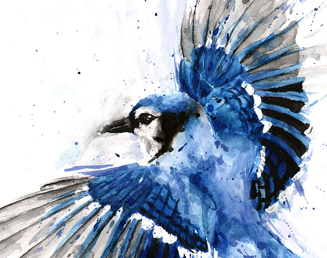 650x513 Blue Jay Watercolor Print Watercolor Animal Paintings - Blue Jay Painting