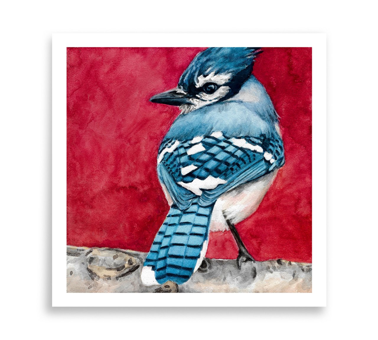 1280x1150 Blue Jay Watercolor Robinsunart - Blue Jay Painting