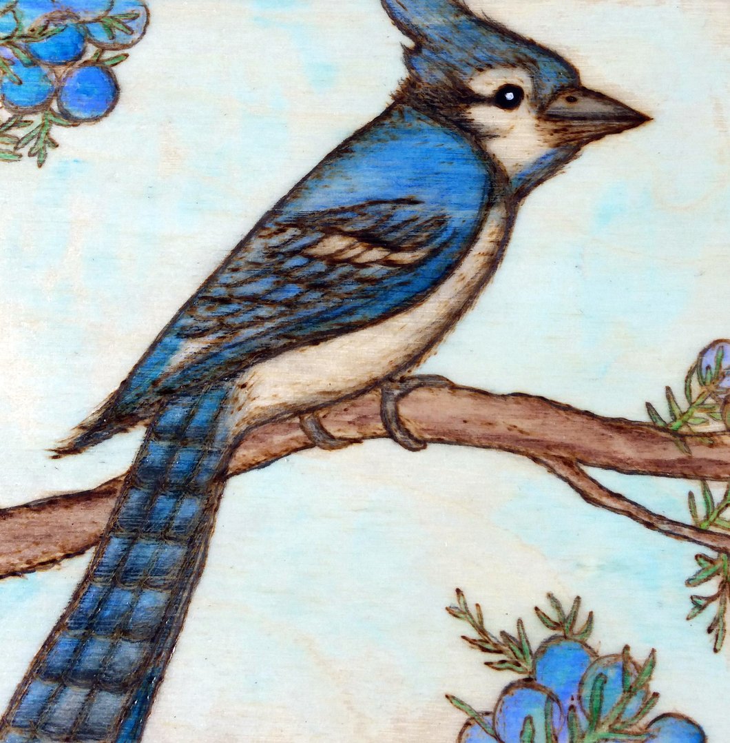 1060x1078 Blue Jay Woodburning And Watercolor Painting Burning Hand Art - Blue Jay Painting