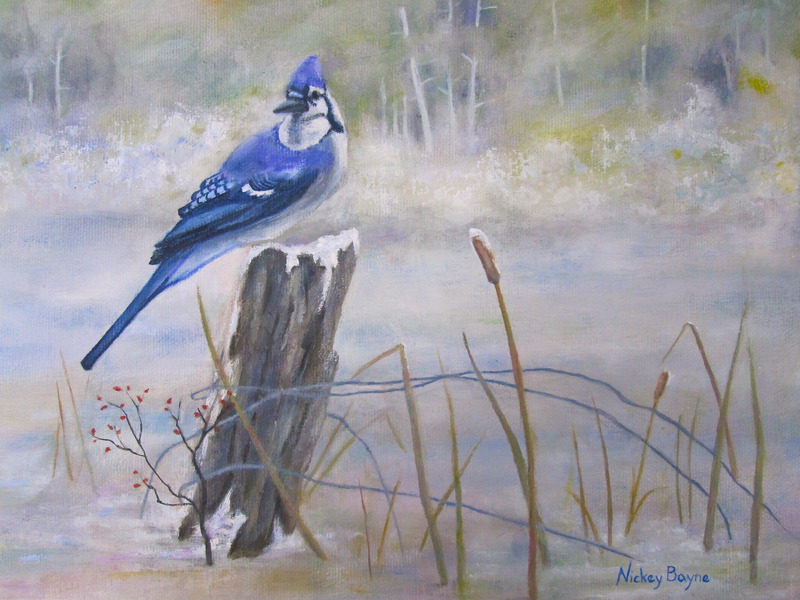 800x600 Blue Jay By Nickey Bayne, Canvas - Blue Jay Painting
