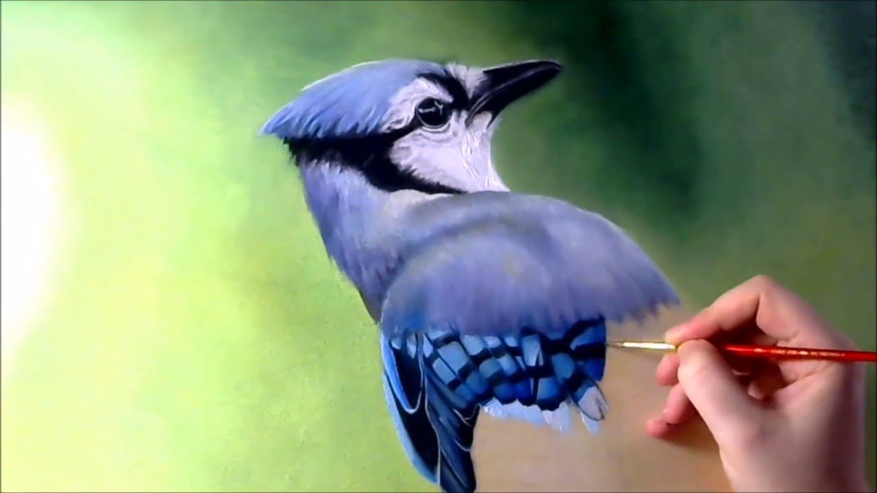 1280x720 Blue Jay Timelapsed Painting - Blue Jay Painting