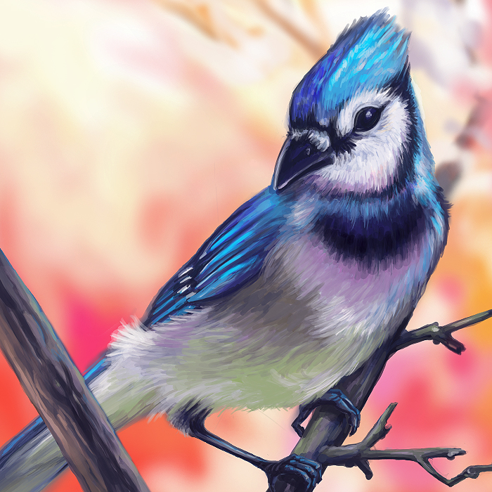 700x700 Bluejay Layer Paint By Charfade - Blue Jay Painting