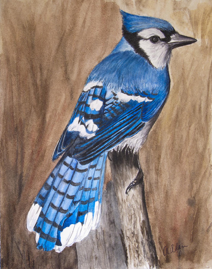 709x900 Bluejay Painting By Angela Johnson - Blue Jay Painting