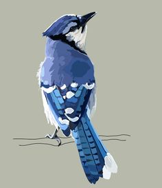 236x273 Pin By Michelle Chambers On Christmas Watercolor - Blue Jay Painting