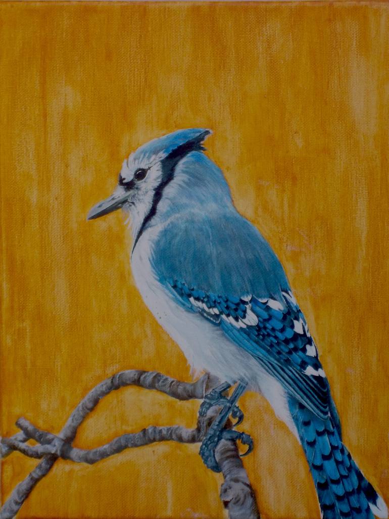 770x1027 Saatchi Art Blue Jay Painting By Suepriya Sabharwal - Blue Jay Painting