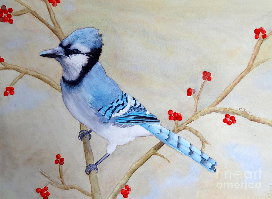 900x659 Blue Jay Painting By Laurel Best - Blue Jay Painting