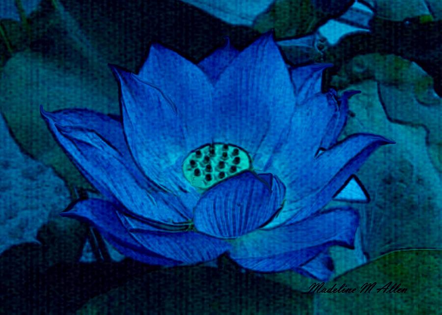 900x642 Blue Lotus Digital Art By Madeline Allen - Blue Lotus Painting