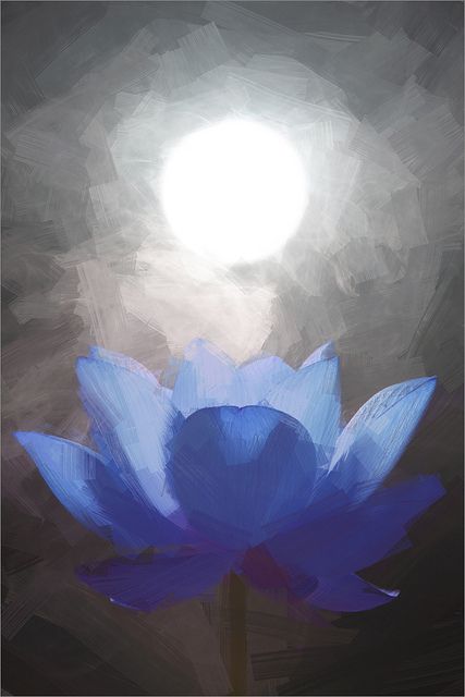 427x640 Blue Lotus Flower Oil Paintings Lotus Flower Oil Painting - Blue Lotus Painting