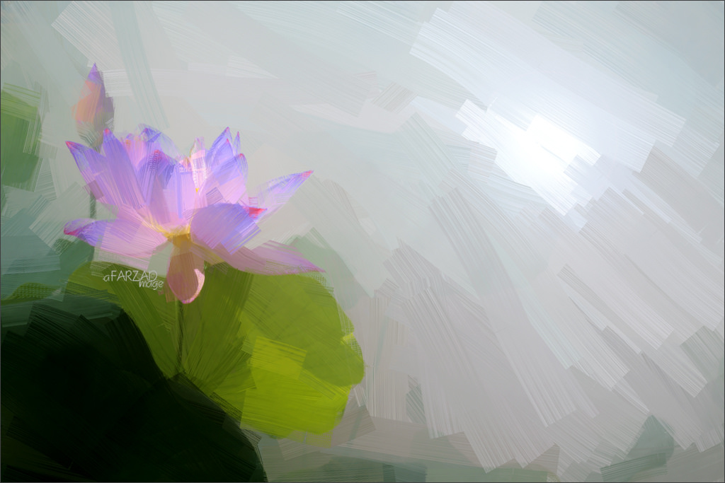 1024x683 Blue Lotus Flower Oil Paintings Lotus Flower Oil - Blue Lotus Painting