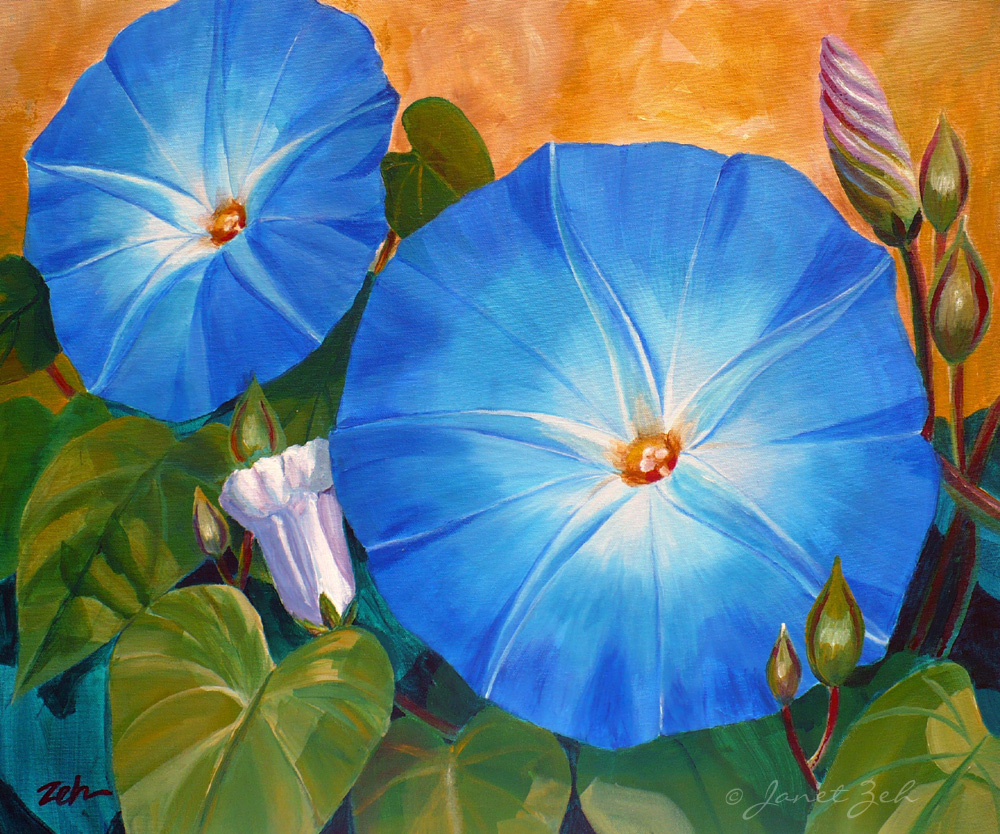 1000x834 Janet Zeh Original Art Watercolor And Oil Paintings Heavenly Blue - Blue Morning Glories Painting