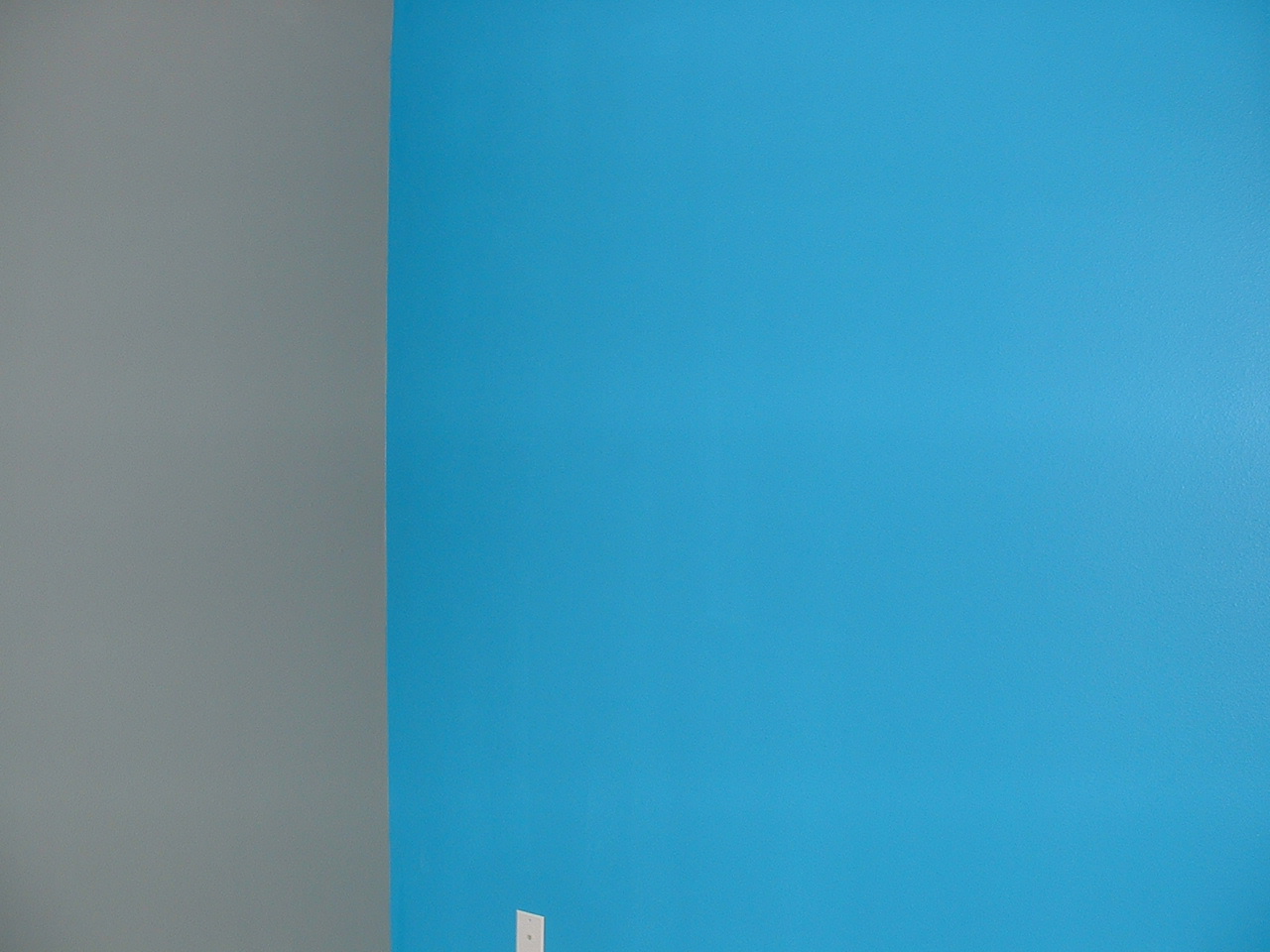 1280x960 Let There Be Color Simple Analogy - Blue Morning Glories Painting