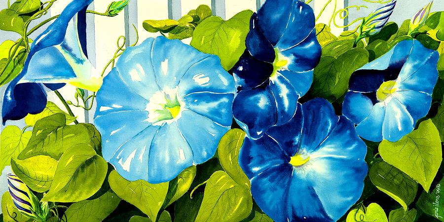 900x450 Morning Glories In Blue Painting By Janis Grau - Blue Morning Glories Painting