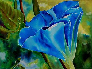 300x224 Morning Glory Flower Paintings - Blue Morning Glories Painting