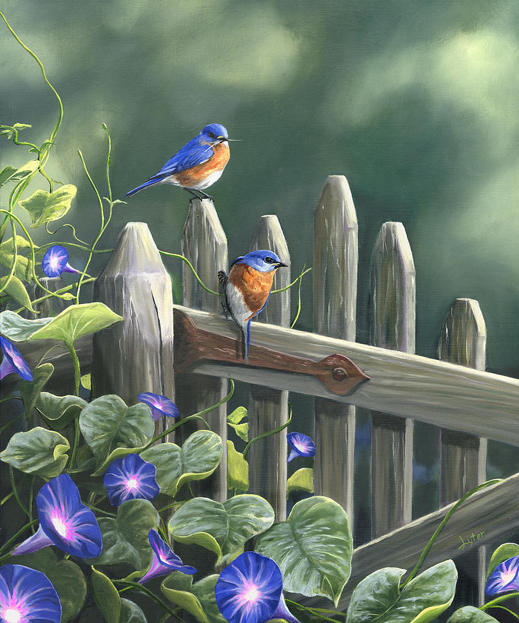 750x900 Morning Glory Painting By Christopher Lyter - Blue Morning Glories Painting