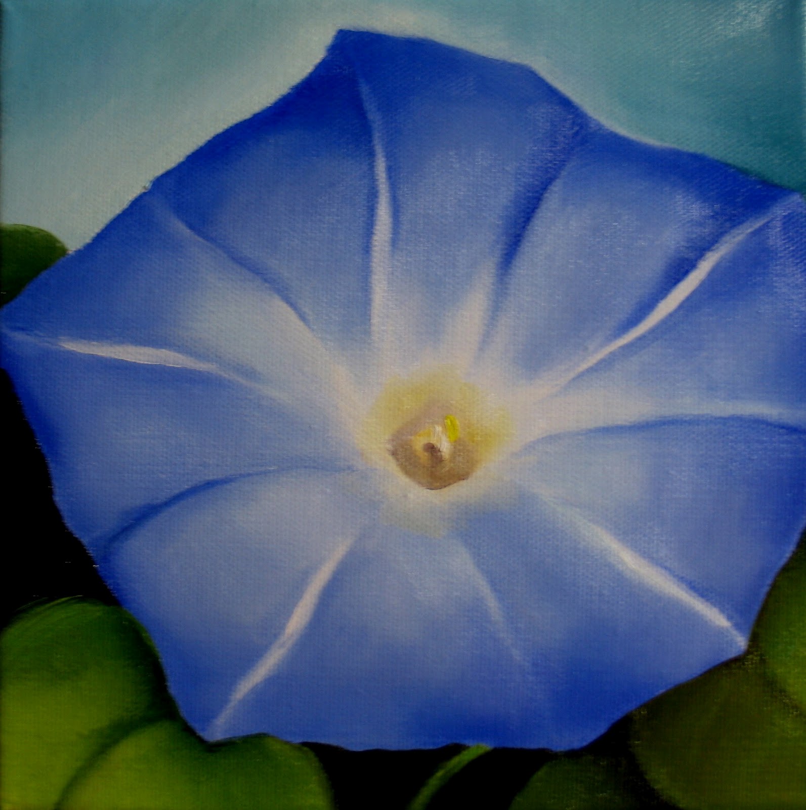1593x1600 Nel's Everyday Painting Little Morning Glory - Blue Morning Glories Painting