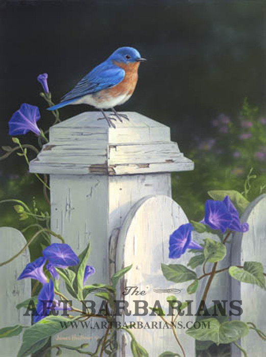 521x700 Wildlife Art Prints Plus Original Paintings With A Wide Selection - Blue Morning Glories Painting