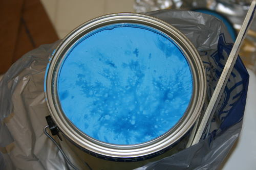 500x333 Valspar Filoli Morning Glory Paint Here's The Paint - Blue Morning Glories Painting