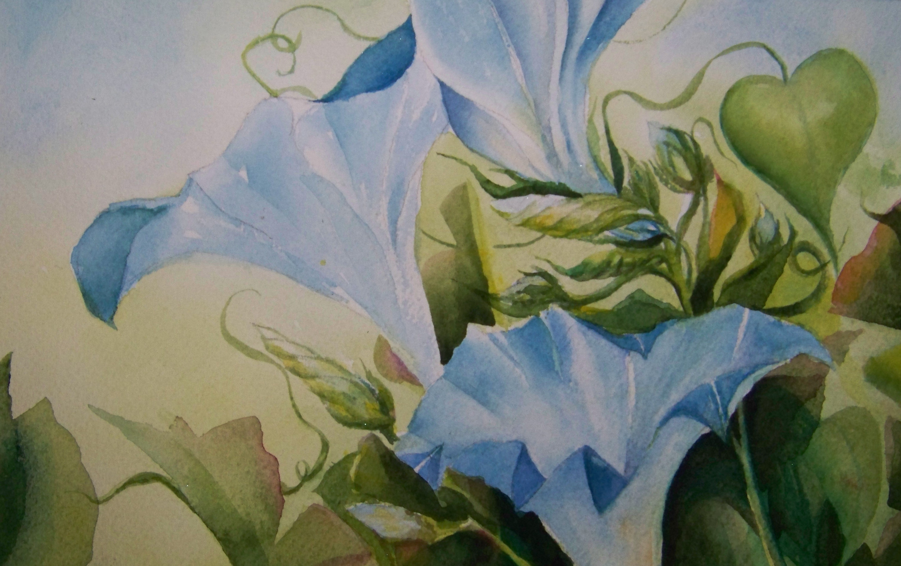 3003x1887 Blue Morning Watercolor By 45.00 A Painting A Day - Blue Morning Glories Painting