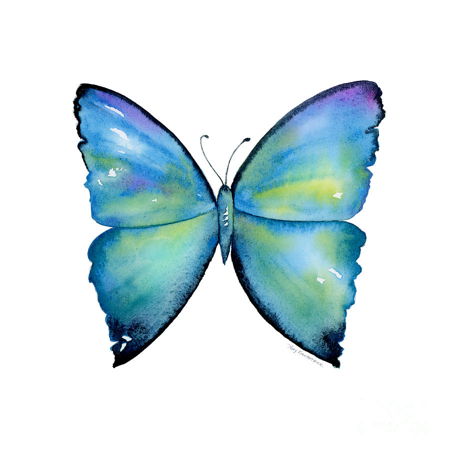 Синяя бабочка акварель