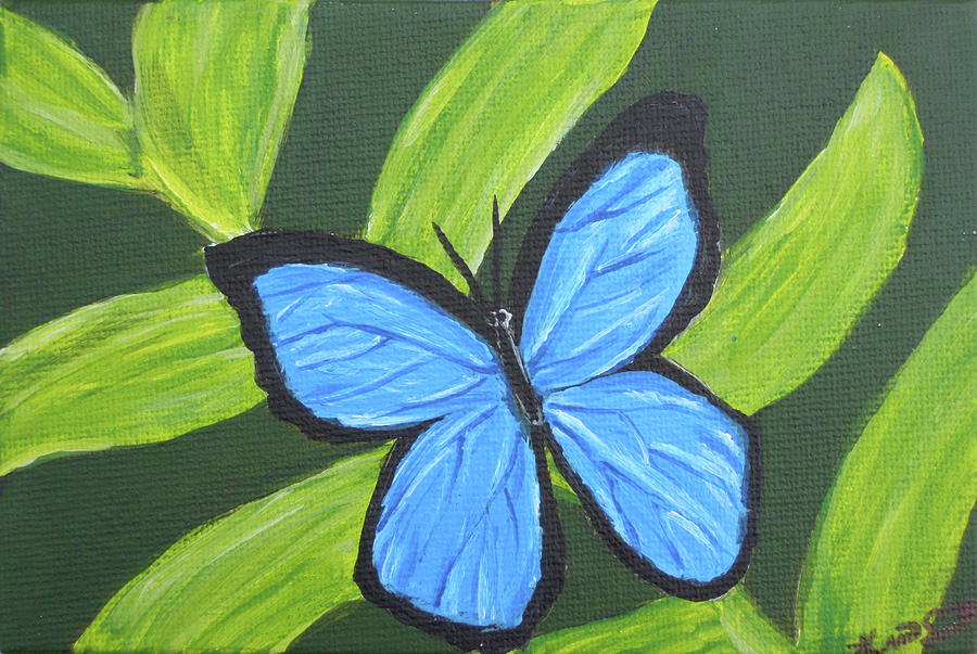 900x603 Blue Morpho Butterfly Painting By Kimberly Smith - Blue Morpho Butterfly Painting