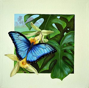 300x299 Blue Morpho Butterfly Paintings - Blue Morpho Butterfly Painting