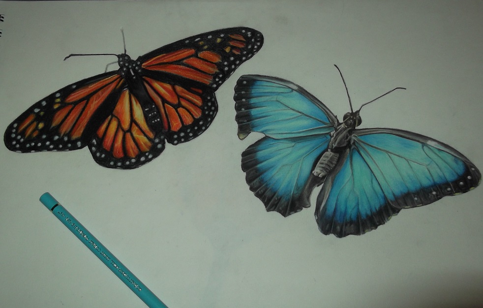 982x626 Blue Morpho Butterfly With Monarch Butterfly By Heathen17 - Blue Morpho Butterfly Painting