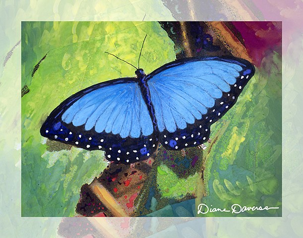 Blue Morpho Butterfly Painting at PaintingValley.com | Explore ...