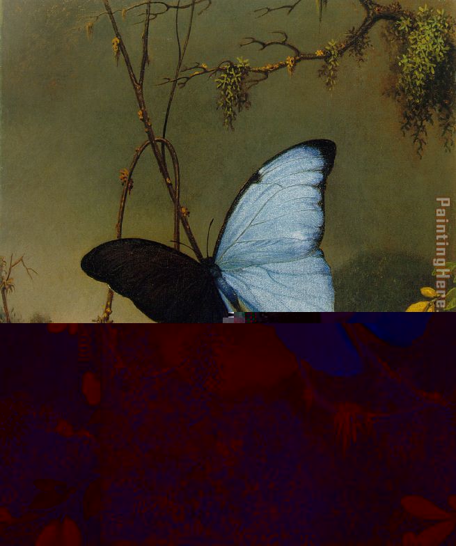 655x784 Martin Johnson Heade Blue Morpho Butterfly Painting Anysize 50 - Blue Morpho Butterfly Painting