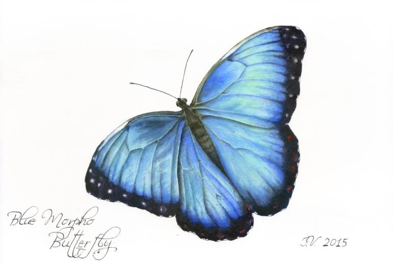 770x518 Saatchi Art Blue Morpho Butterfly Painting By Irina Viatkina - Blue Morpho Butterfly Painting