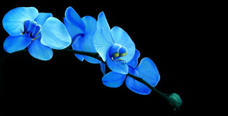 770x394 Saatchi Art Blue Orchid Painting By Anastasija Popova - Blue Orchid Painting