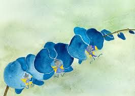 266x190 - Blue Orchid Painting