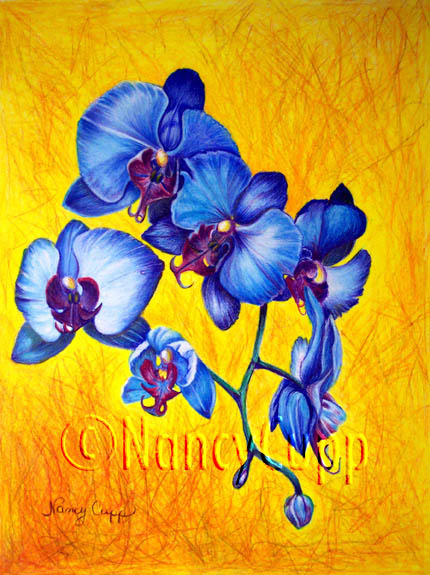 430x575 Blue Orchids - Blue Orchid Painting