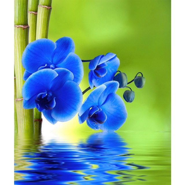 640x640 Bamboo Amp Blue Orchid Full Square Diamond Embroidery 3d Diamond - Blue Orchid Painting